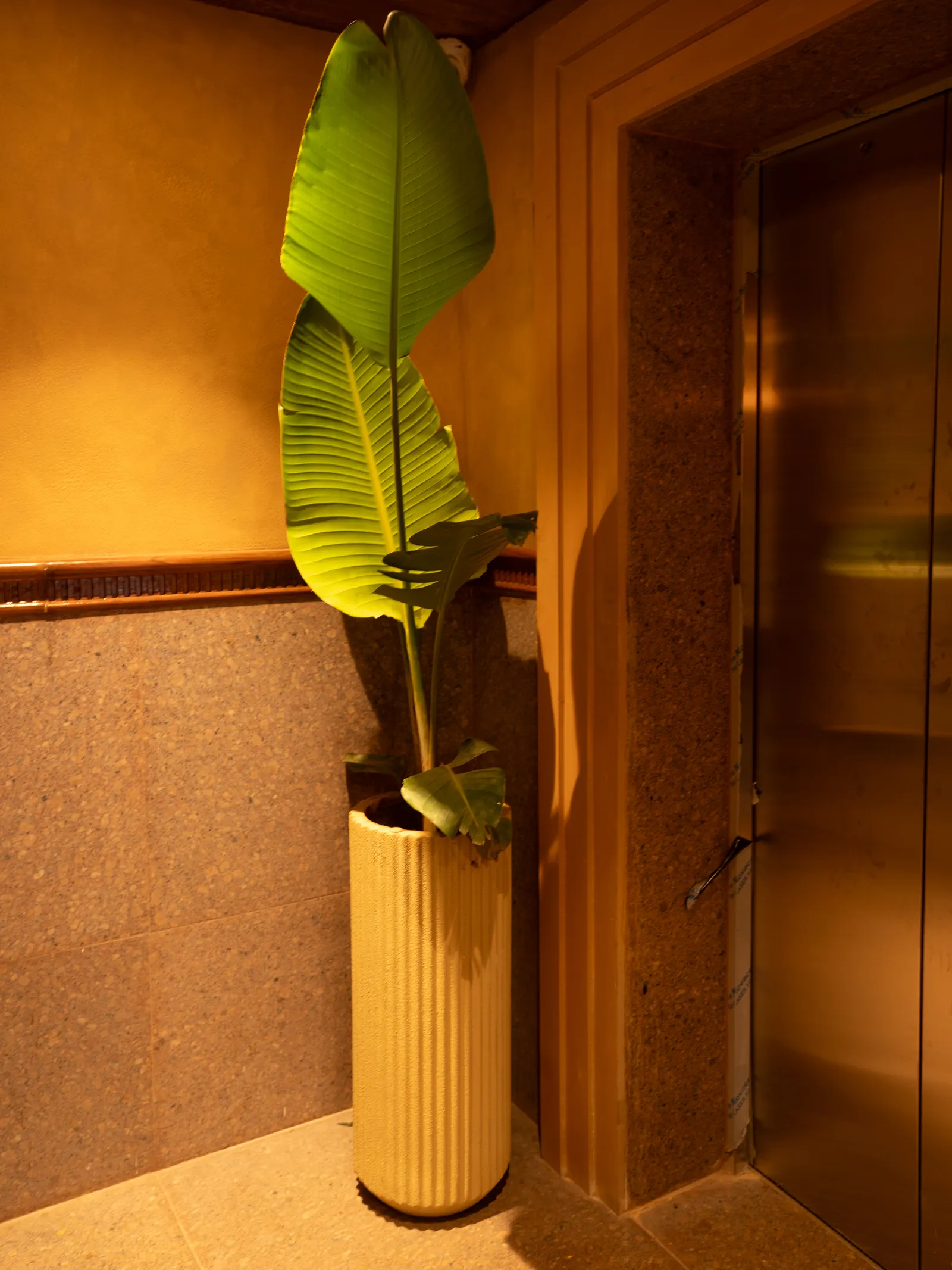 Lift lobby with planter and brass door frame — Chalukya Samrat